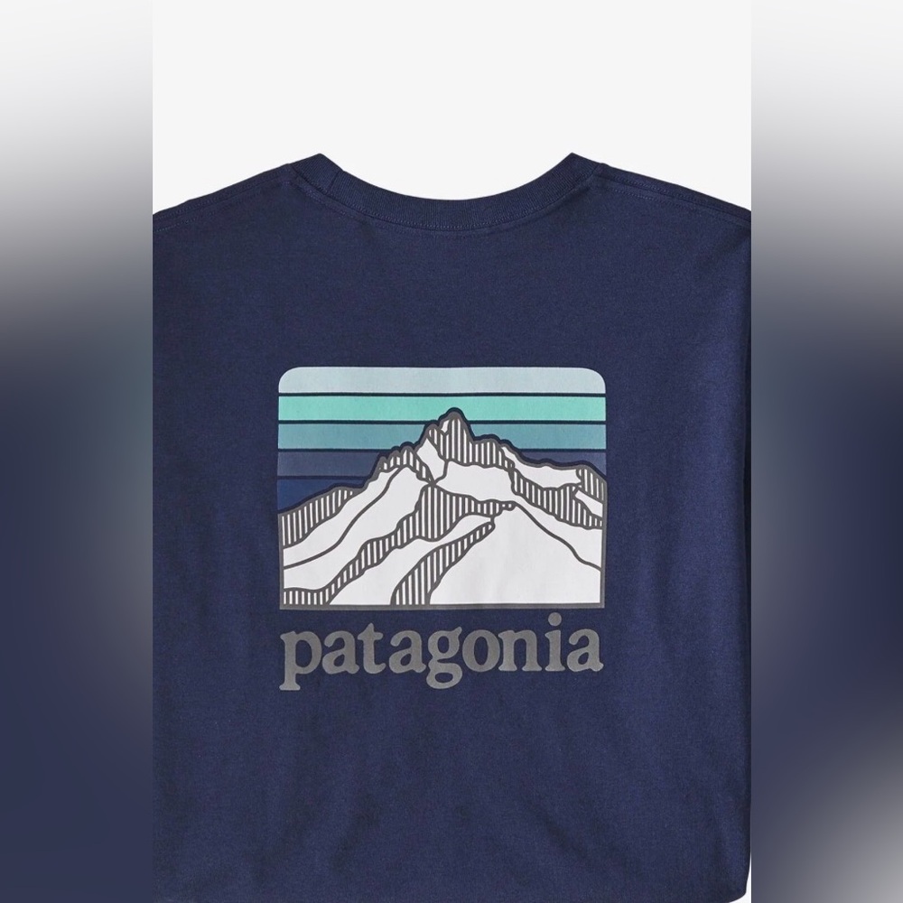 Patagonia Men's Large Deep Blue Short Sleeve Tee